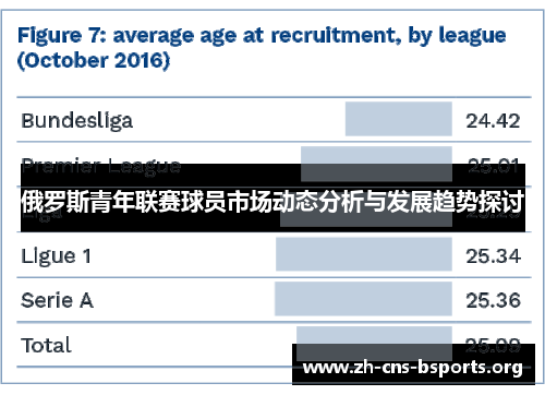 俄罗斯青年联赛球员市场动态分析与发展趋势探讨