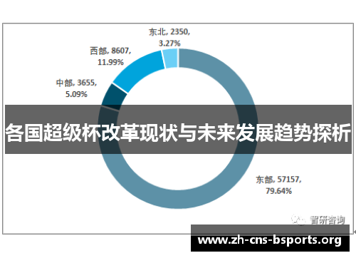 各国超级杯改革现状与未来发展趋势探析