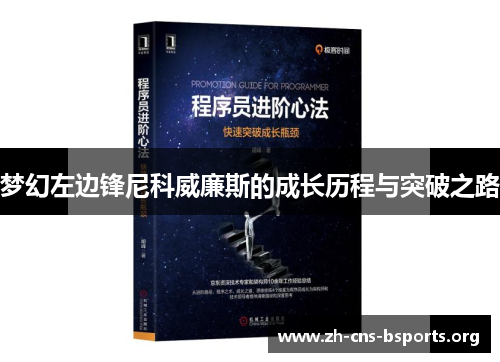 梦幻左边锋尼科威廉斯的成长历程与突破之路