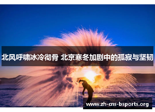 北风呼啸冰冷彻骨 北京寒冬加剧中的孤寂与坚韧