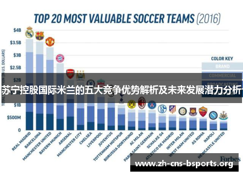 苏宁控股国际米兰的五大竞争优势解析及未来发展潜力分析 苏宁控股国际米兰的五大竞争优势解析及未来发展潜力分析