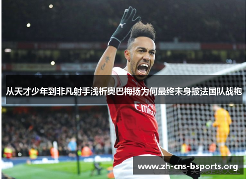 从天才少年到非凡射手浅析奥巴梅扬为何最终未身披法国队战袍