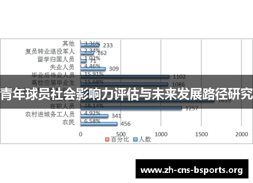 青年球员社会影响力评估与未来发展路径研究